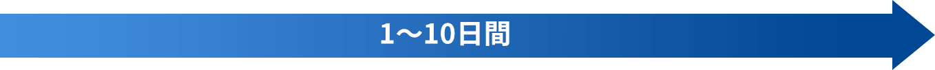 1～10日